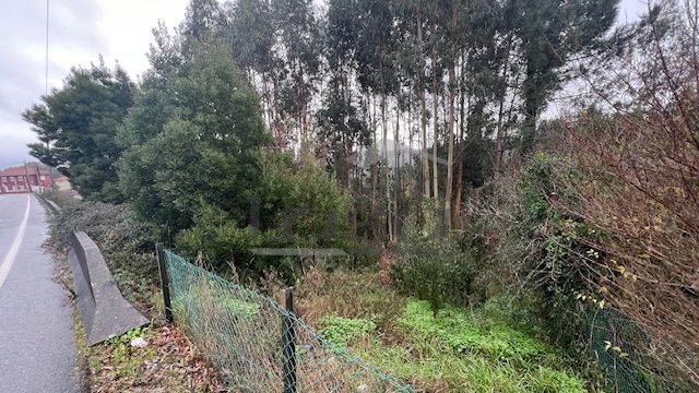 Terreno P/ Prédio para Venda em Canedo, Vale e Vila Maior