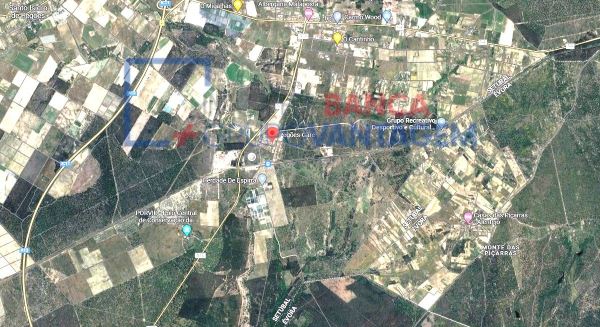 Terreno Rustico Com 108.500 M2 Para Loteamento , Pegões, Montijo