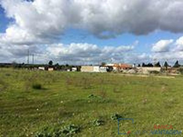 Terreno Urbano, Hortas Da Frialva, Ponte De Sor