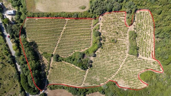 Terreno Rústico Com 35.880M² Em Sobral Monte Agraço