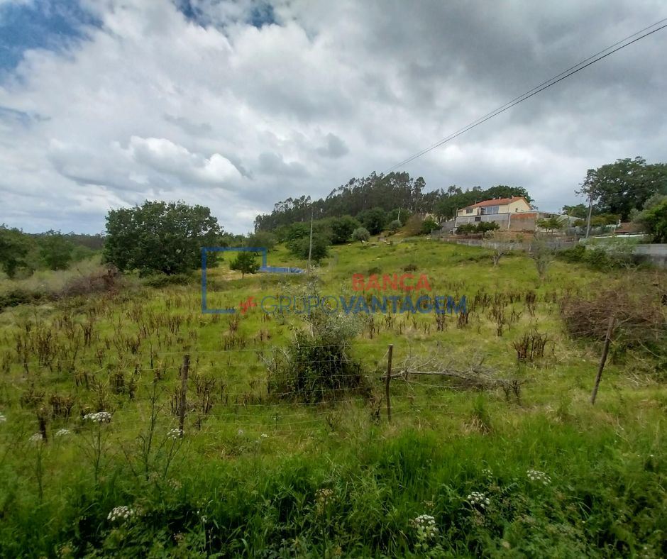 Terreno Agricola ou Rústico para Venda em Santiago e São Simão de Litém e Albergaria dos Doze