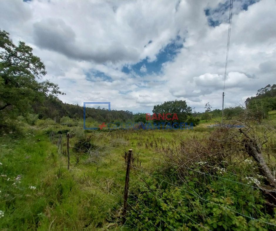 Terreno Agricola ou Rústico para Venda em Santiago e São Simão de Litém e Albergaria dos Doze