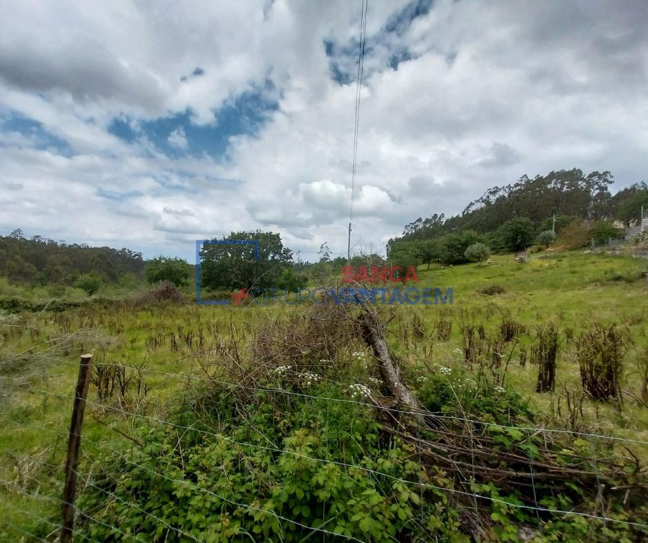 Terreno Agricola ou Rústico para Venda em Santiago e São Simão de Litém e Albergaria dos Doze