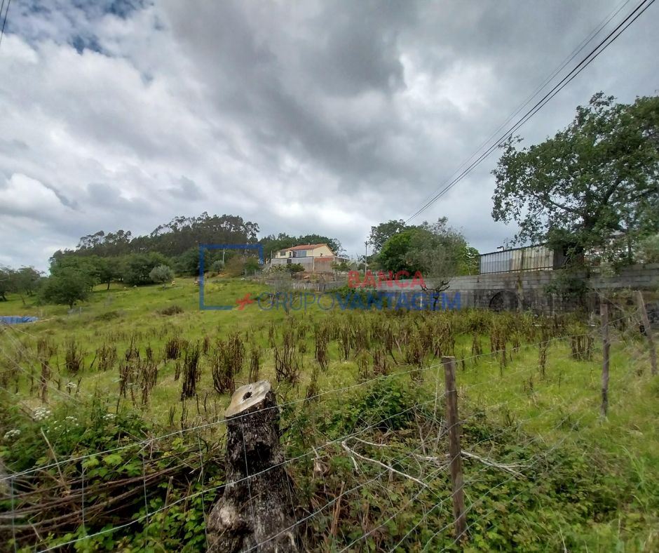 Terreno Agricola ou Rústico para Venda em Santiago e São Simão de Litém e Albergaria dos Doze