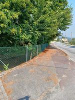 Terreno Agricola ou Rústico para Venda em Eira Vedra