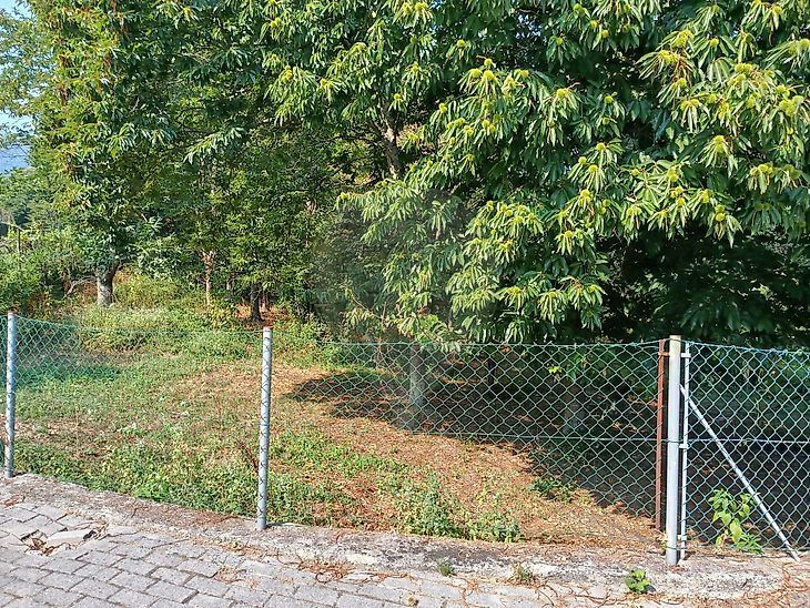 Terreno Agricola ou Rústico para Venda em Eira Vedra