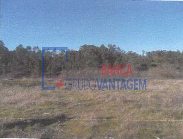 Terreno para Venda em Fonte Arcada e Oliveira