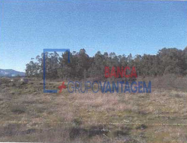 Terreno para Venda em Fonte Arcada e Oliveira