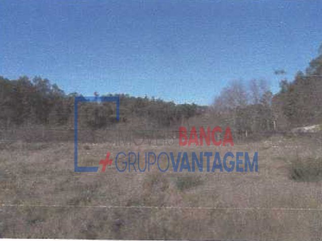 Terreno para Venda em Fonte Arcada e Oliveira