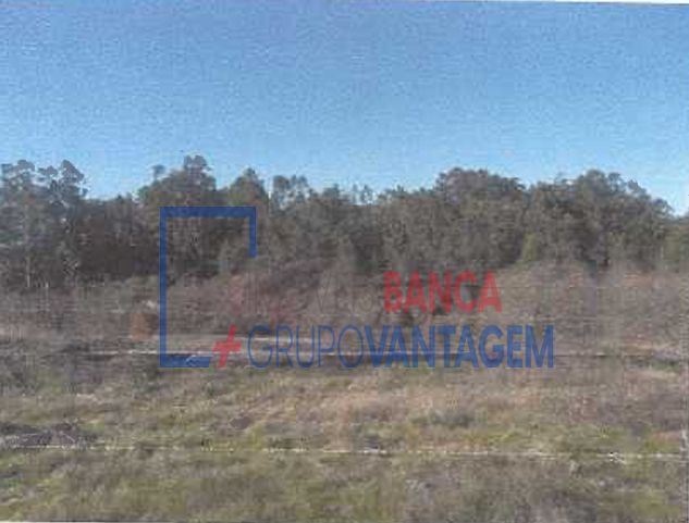 Terreno para Venda em Fonte Arcada e Oliveira