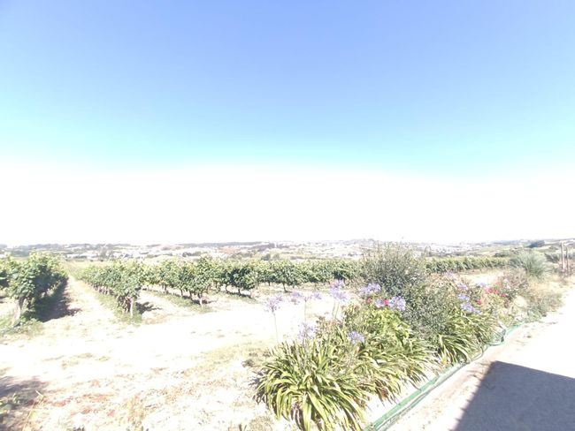 Moradia T2 para Venda em Ventosa