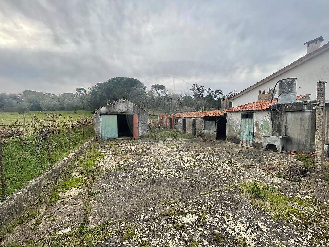 Moradia T2 para Venda em Soure