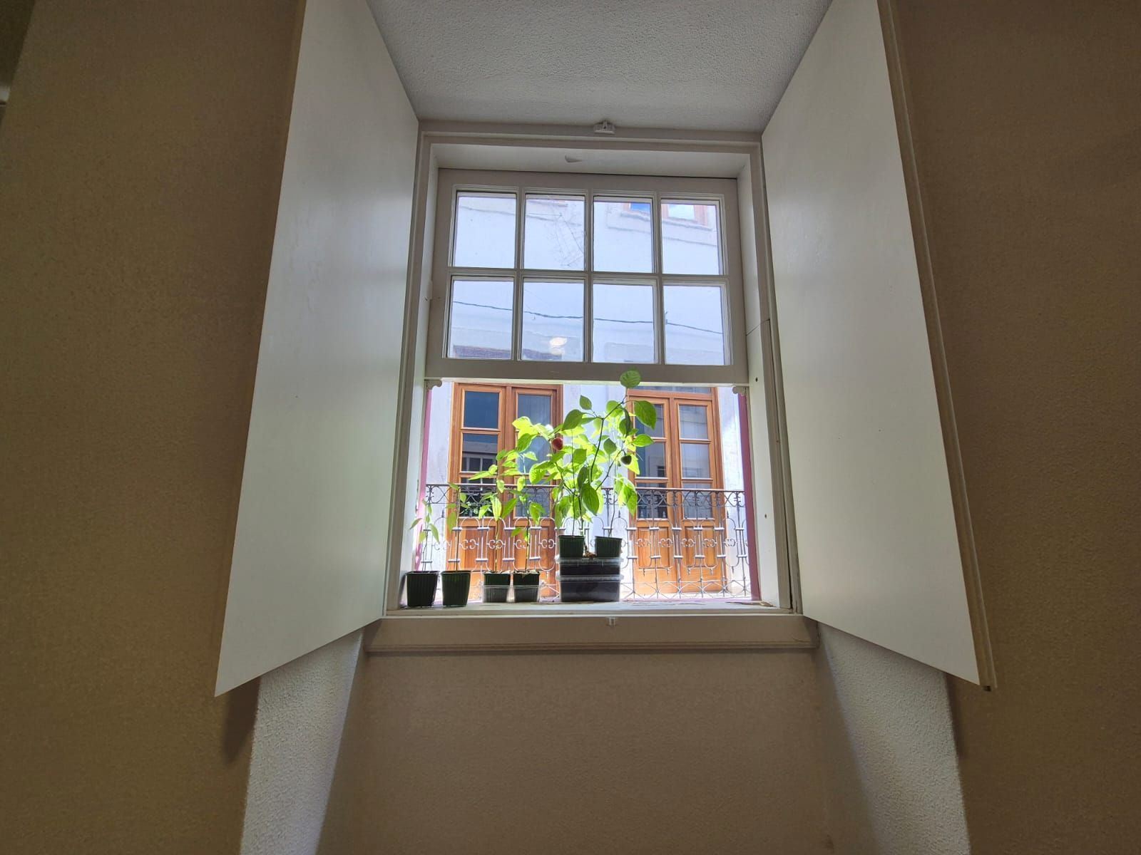 Prédio para Venda em Sé Nova, Santa Cruz, Almedina e São Bartolomeu