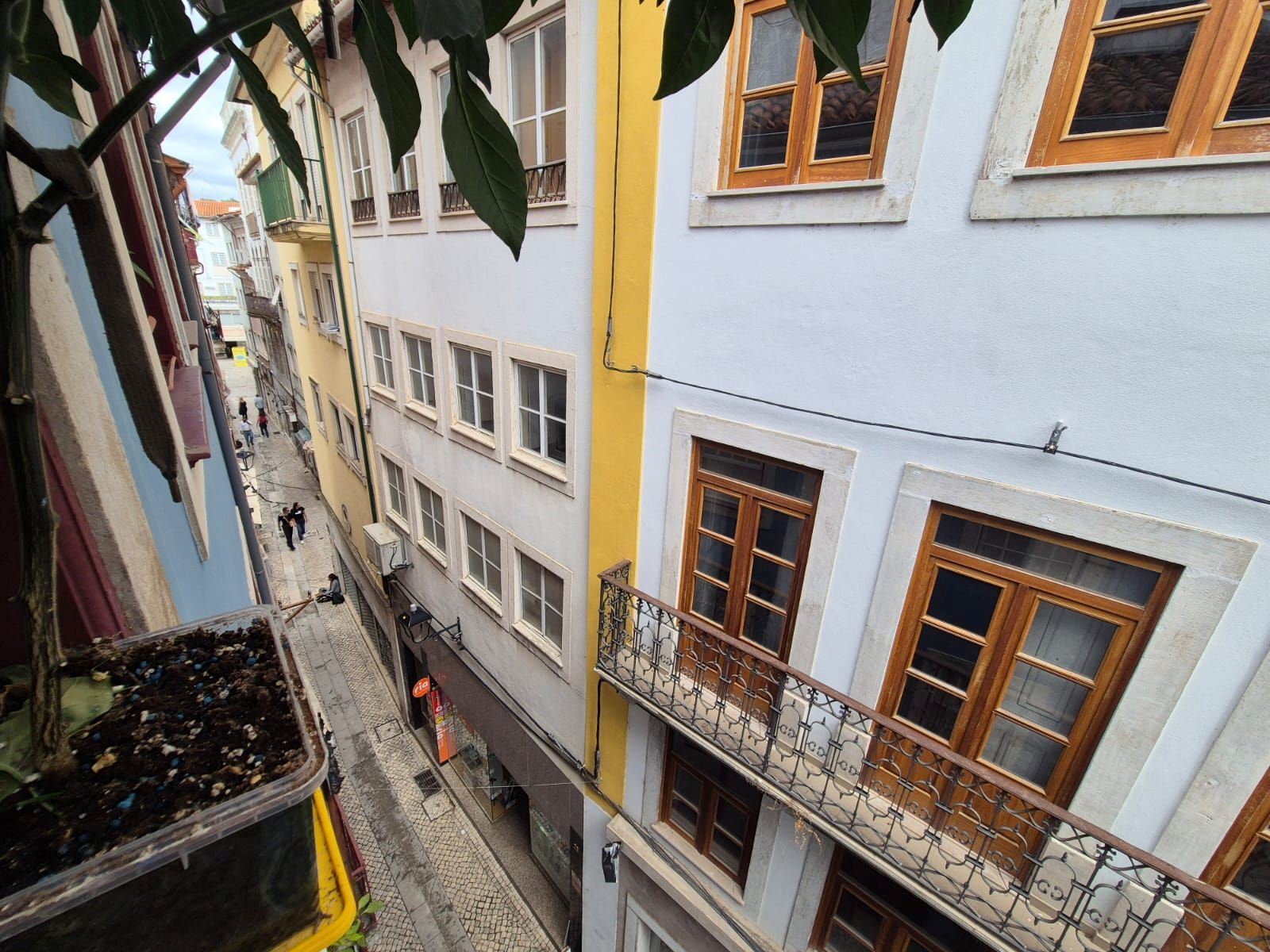 Prédio para Venda em Sé Nova, Santa Cruz, Almedina e São Bartolomeu