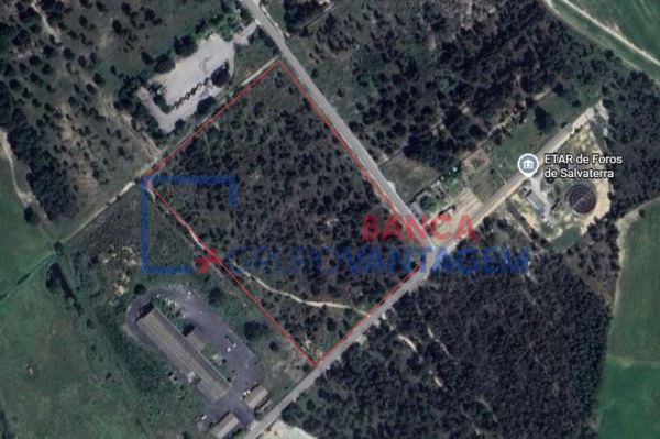 Terreno Rústico Em Salvaterra De Magos