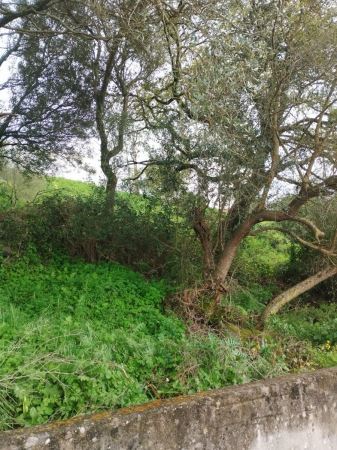 Terreno À Venda Em Sintra