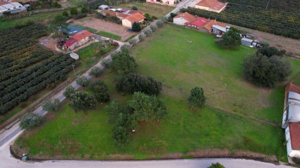 Terreno Para Construção De Moradias Em Anadia
