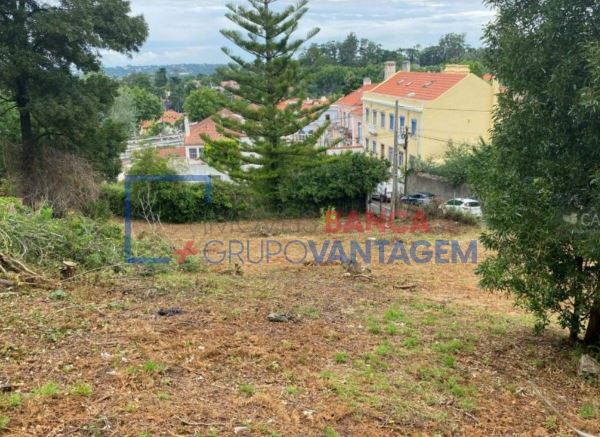 Terreno Para Construção - Sintra