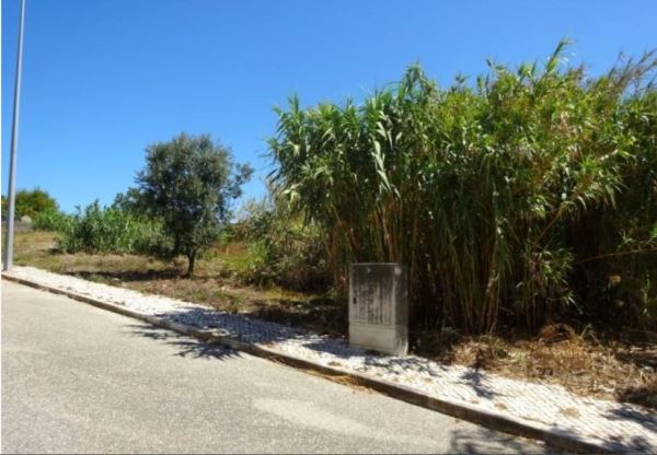Excelente Empreendimento Na Figueira Da Foz