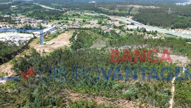 Terreno Agricola ou Rústico para Venda em São Martinho do Bispo e Ribeira de Frades