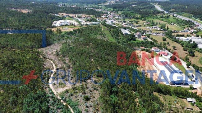 Terreno Agricola ou Rústico para Venda em São Martinho do Bispo e Ribeira de Frades