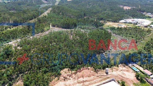 Terreno Agricola ou Rústico para Venda em São Martinho do Bispo e Ribeira de Frades