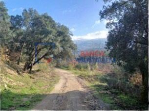 Quinta Com 41,7 Ha Junto Ao Douro | Marco De Canaveses