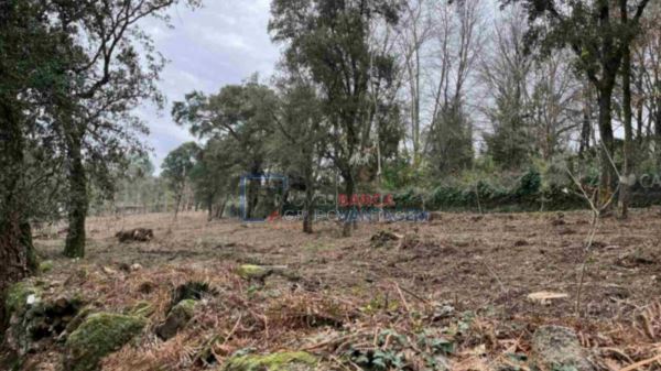 Terreno Rústico Com 4.455 M² Em Fornelo, Vila Do Conde 