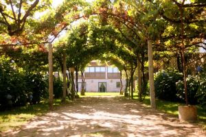 Apartamento com 3 Quartos para Arrendamento