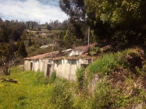 Loteamento misto para Compra