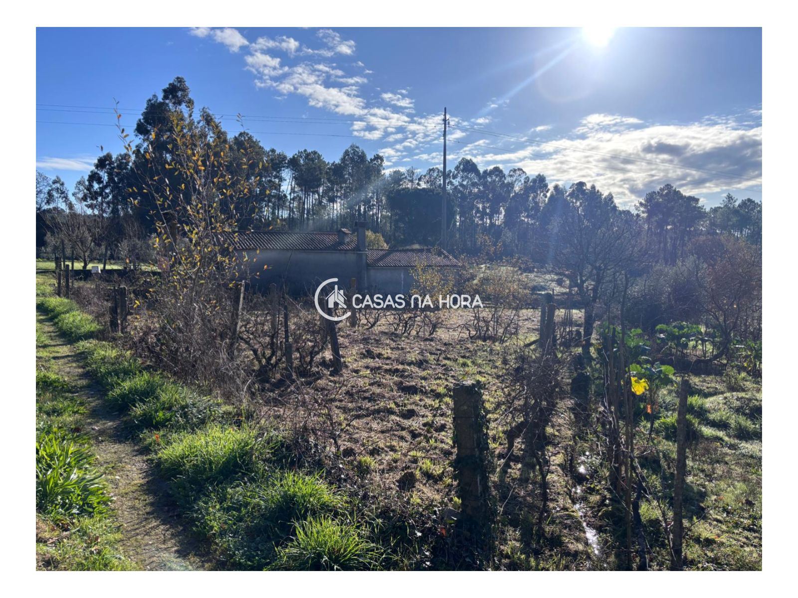 Terreno para Venda em Mundão