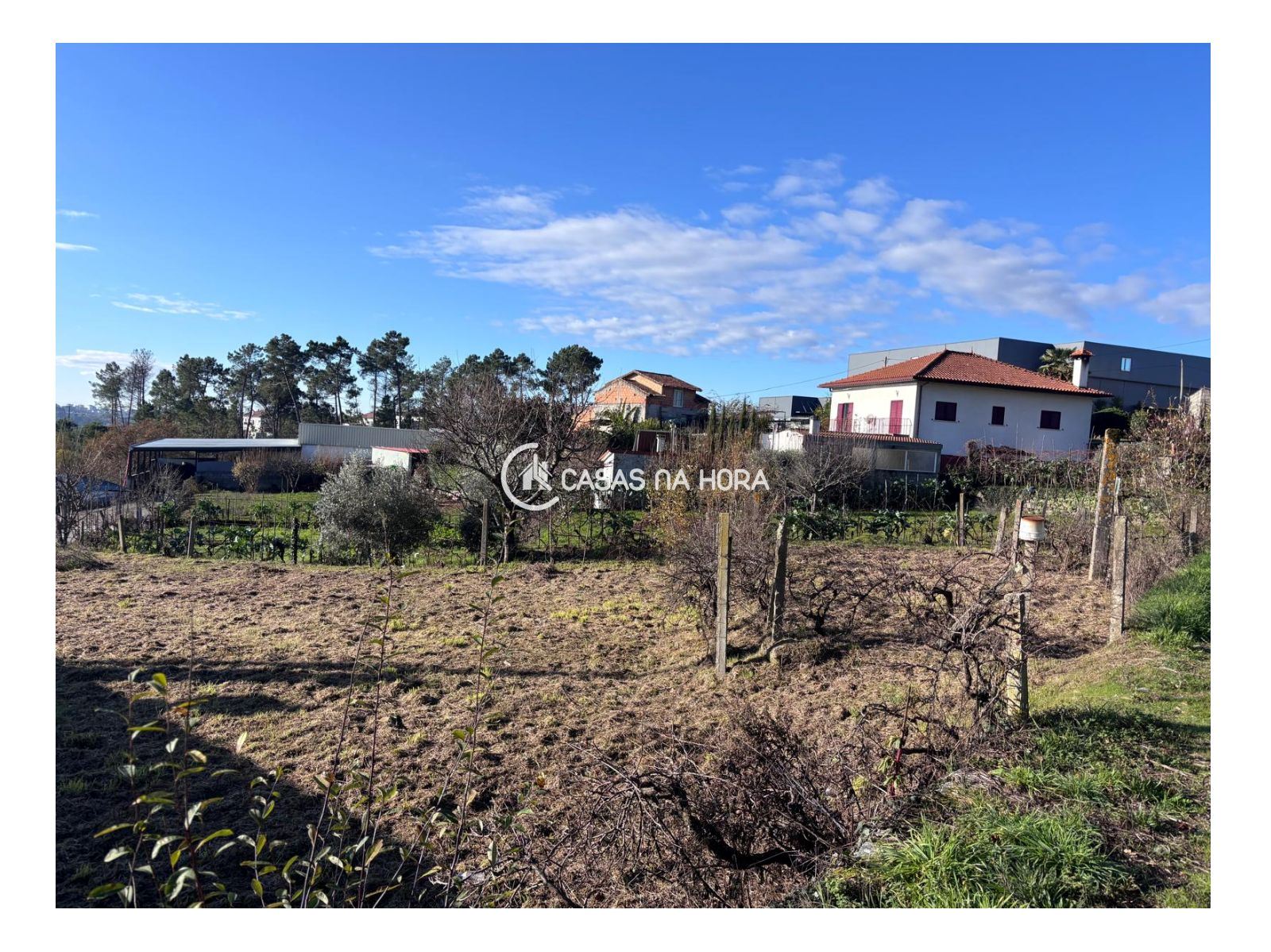 Terreno para Venda em Mundão