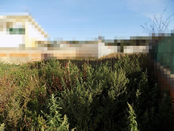 Land for house construction, para Sale