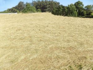 Land for house construction, para Sale