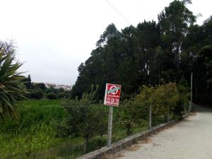 Rustic land, para Sale