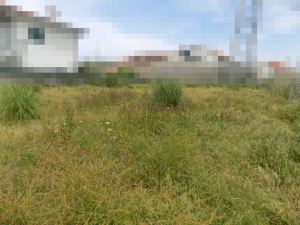 Land for house construction, para Sale