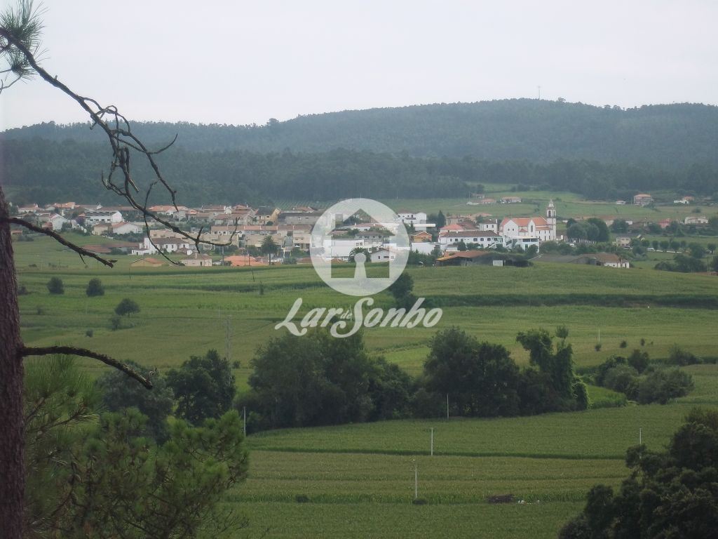 Venda Apartamento T3