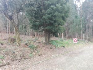 Land for house construction, para Sale