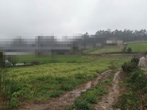 Rustic land, para Sale