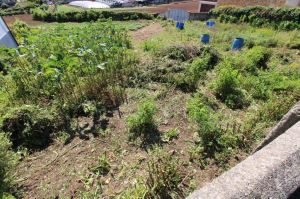 Land for house construction, para Sale