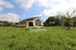 Granja T3, para Compra