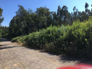 Agricultural land, para Sale