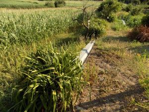 Land for house construction, para Sale