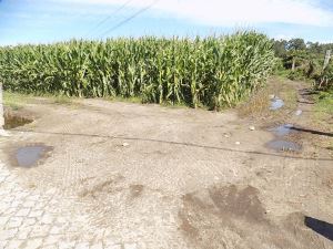 Land for house construction, para Sale