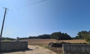 Rustic land, para Sale