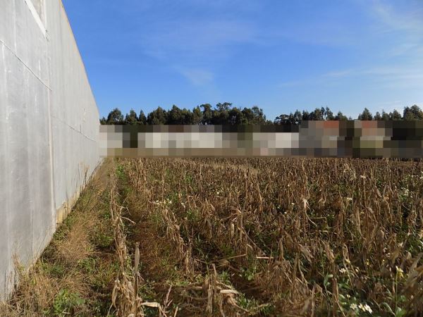 Lot for individual housing, para Sale