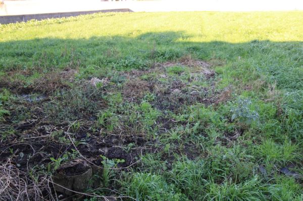 Lot for individual housing, para Sale