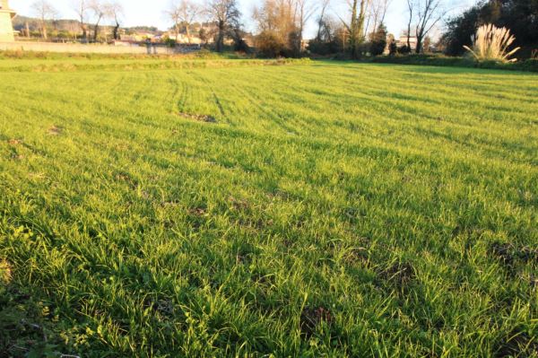 Land for house construction, para Sale