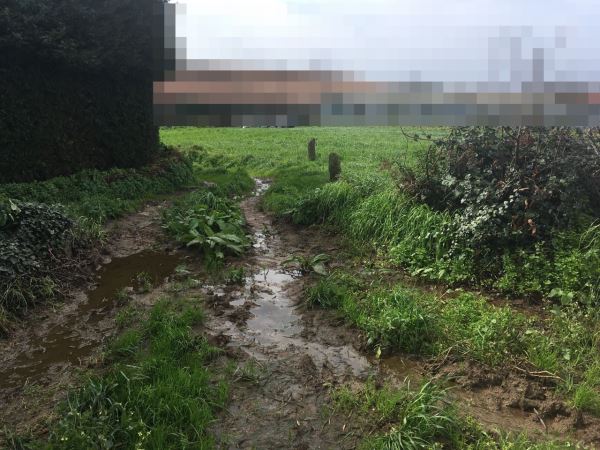 Terreno agrícola, para Alquiler