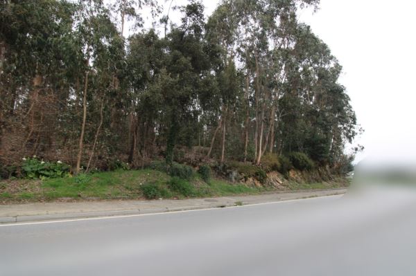 Rustic land, para Sale